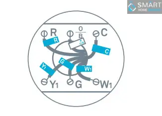 nest without c wire