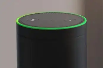 Alexa Flashing Green