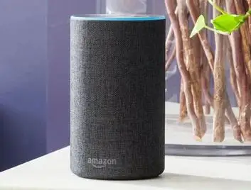 Alexa Voice Routine not Working Issue