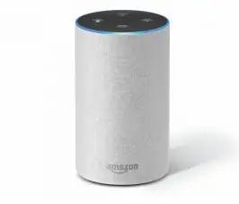 Alexa App Is Offline