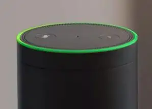 Alexa Flashing Green Light Mean