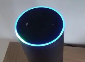 Alexa Flashing Purple Light Mean