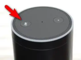 Alexa Flashing White Light Mean