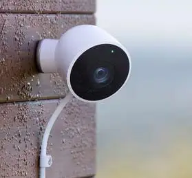 Nest Camera Back Online