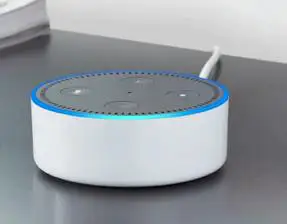 Update Firmware on Amazon Echo Dot