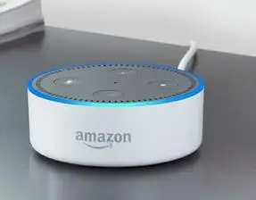 Fix Amazon Alexa Mic Problem