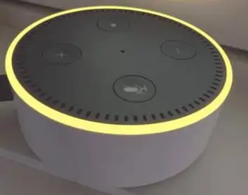 Stop Alexa Flashing Yellow Light