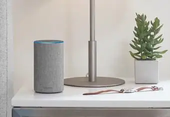 Alexa Multi-Room Music Not Working