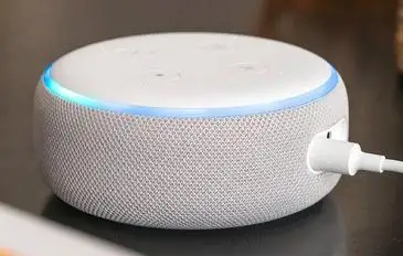 Play Free Music on the Echo Dot