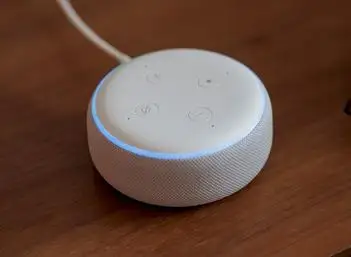 Play Free Music on the Echo Dot