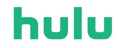 Fix Hulu Error Code 301