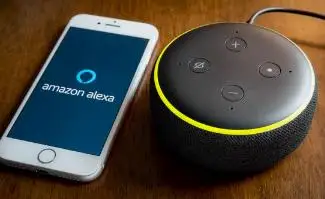 Delete And Control Alexa Voice History