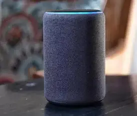 Alexa Error 73001