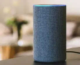 Amazon Echo Error 7:3:0:0:1