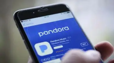 Delete a Station on Pandora