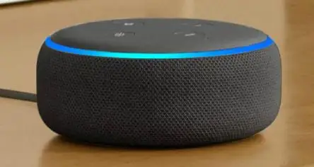 Secure Your Alexa Device