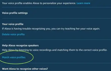 Setup Amazon Alexa Voice Profiles