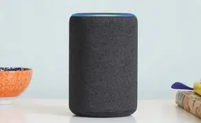 Setup Amazon Alexa Voice Profiles