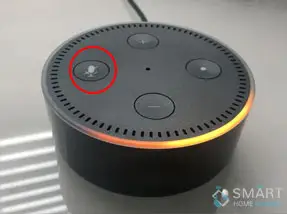 alexa echo dot not responding to voice