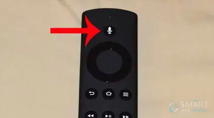 fire tv stick voice