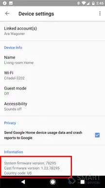 google home mini update