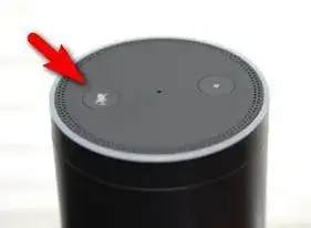 alexa mic not working