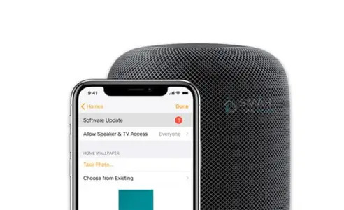 stereo homepod setup