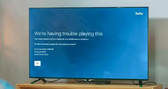 Hulu Error Code P-EDU103