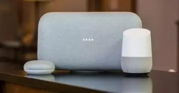 Google Home vs. Amazon Echo 2021