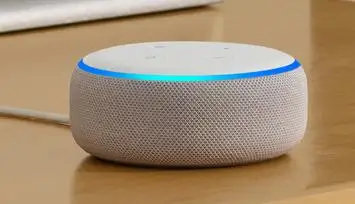 Google Home vs. Amazon Echo