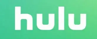 P-TS207 Error Code on Hulu