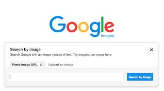 Try Out the Old Reverse Image Search Using