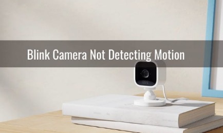 Blink Camera Not Recording Motion