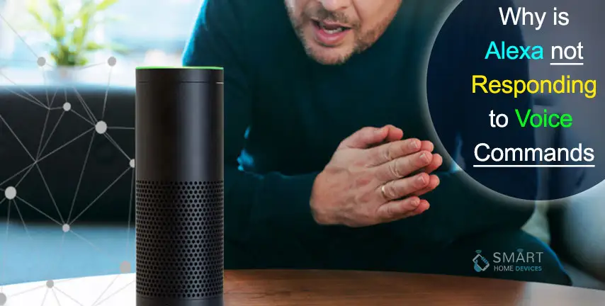 Why is Alexa Not Responding to Voice Commands?