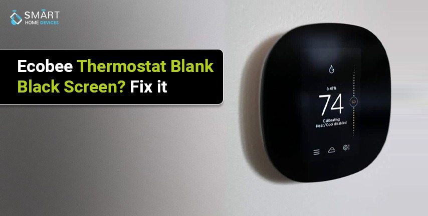 How to Fix Ecobee Thermostat Black Screen?