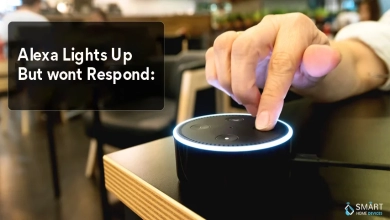 How to Fix Alexa Not Responding But Lighting Up?