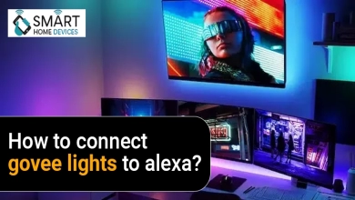 How to Connect Govee Lights to Alexa?